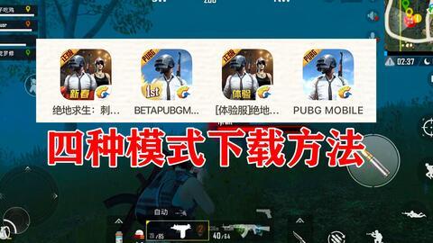 pubg国际体验服最新爆料,最新Pubg国际体验服爆料，全新内容抢先看！
